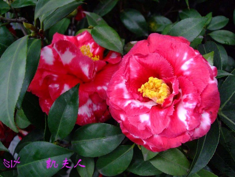 ������ 10-3-30 (2).jpg