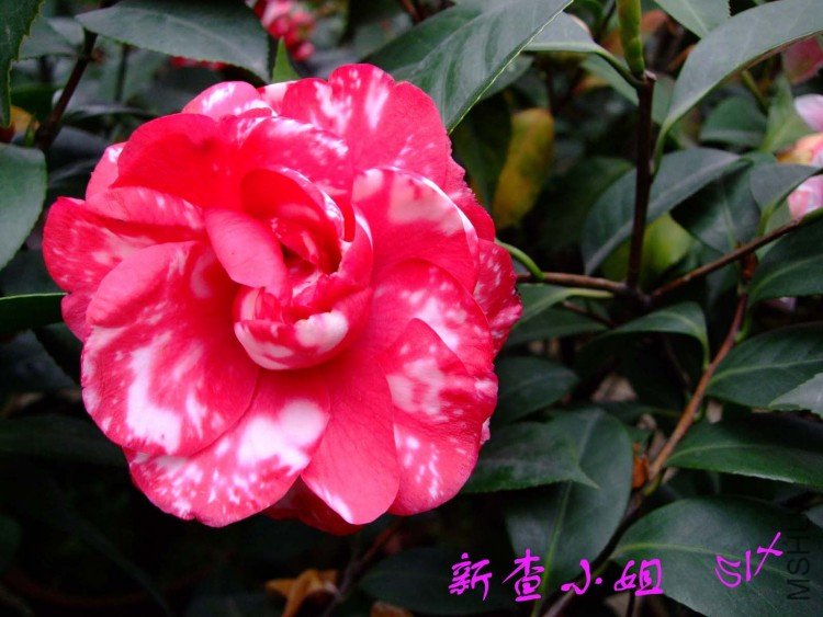 �²� 10-3-30 (2).jpg