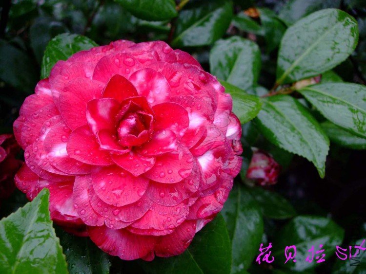 ������ 10-3-30 (4).jpg