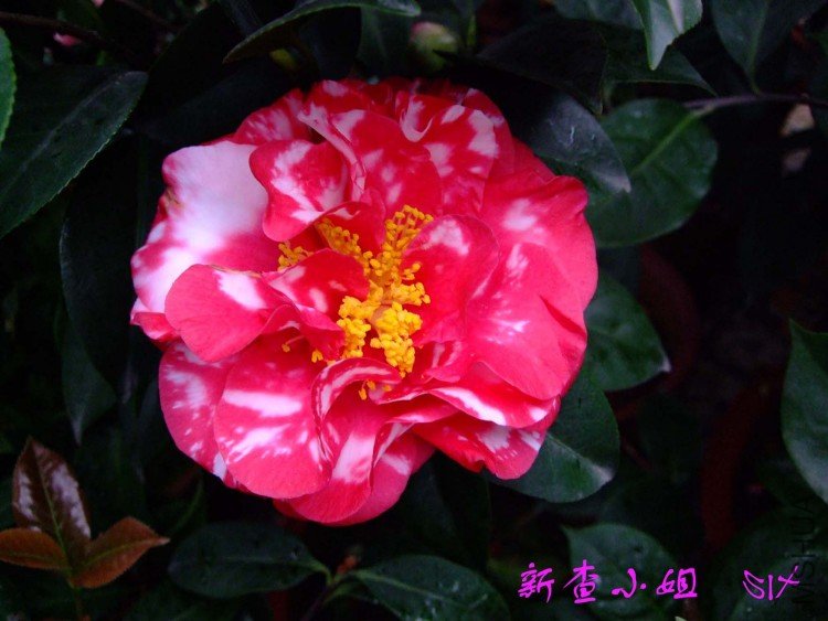 �²� 10-3-30 (1).jpg