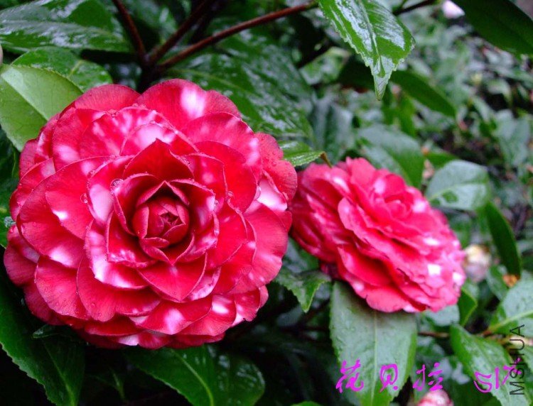 ������ 10-3-30 (5).jpg