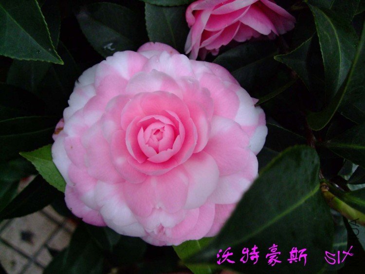 ���غ�˹ 10-3-30 (1).jpg