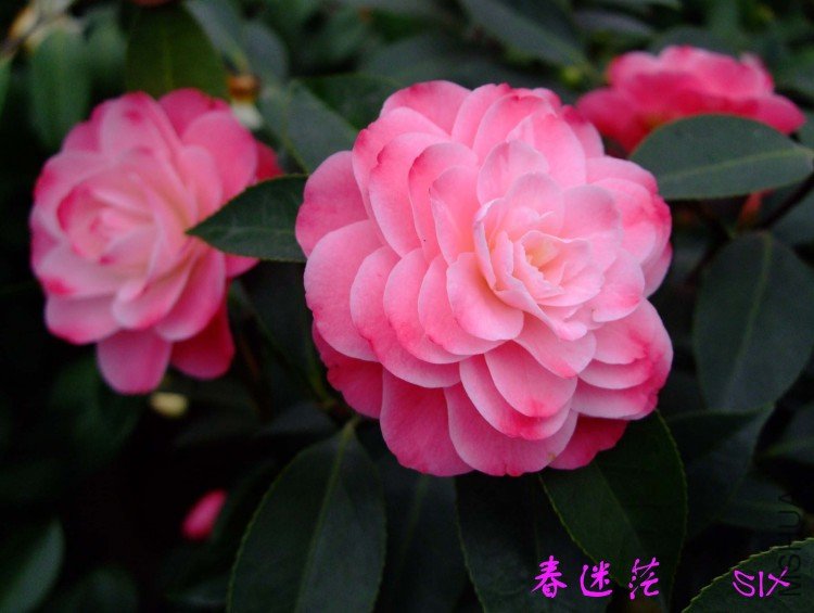 ����ã10-3-30 (6).jpg