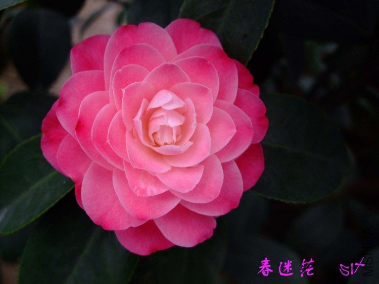 ����ã10-3-30 (5).jpg