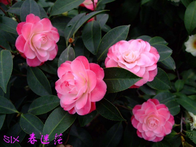 ����ã10-3-30 (8).jpg