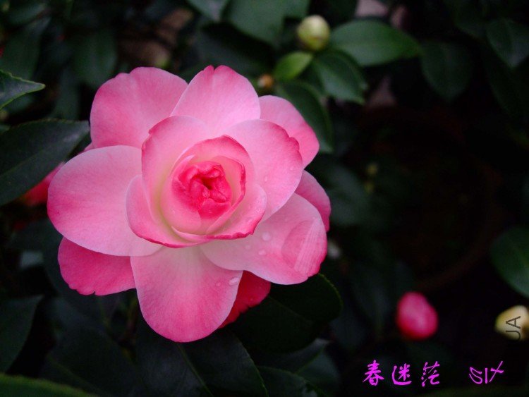 ����ã10-3-30 (4).jpg