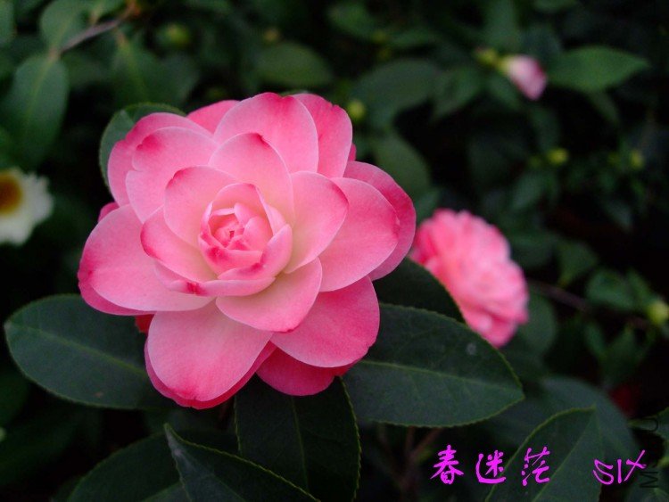 ����ã10-3-30 (7).jpg