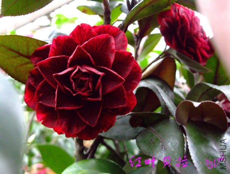 �ڱ��� 10-3-30(1).jpg