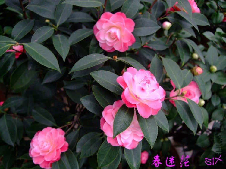 ����ã10-3-30 (2).jpg