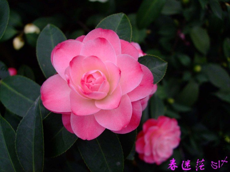 ����ã10-3-30 (3).jpg