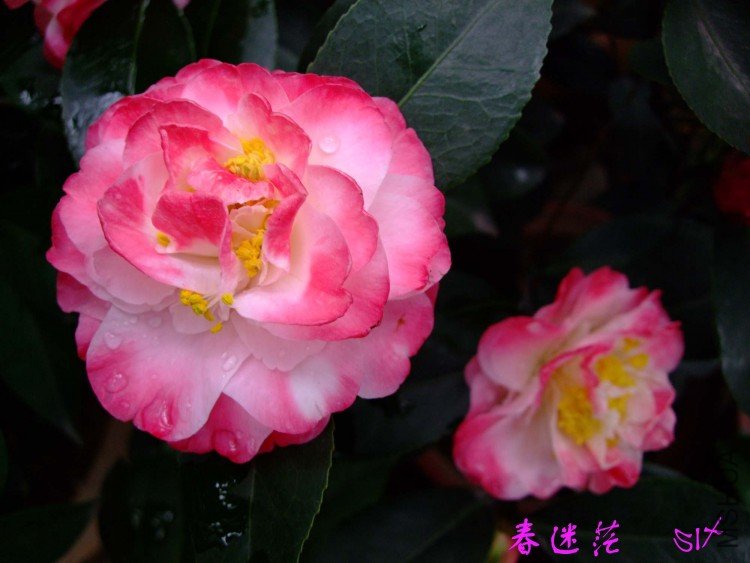 ����ã10-3-30 (12).jpg