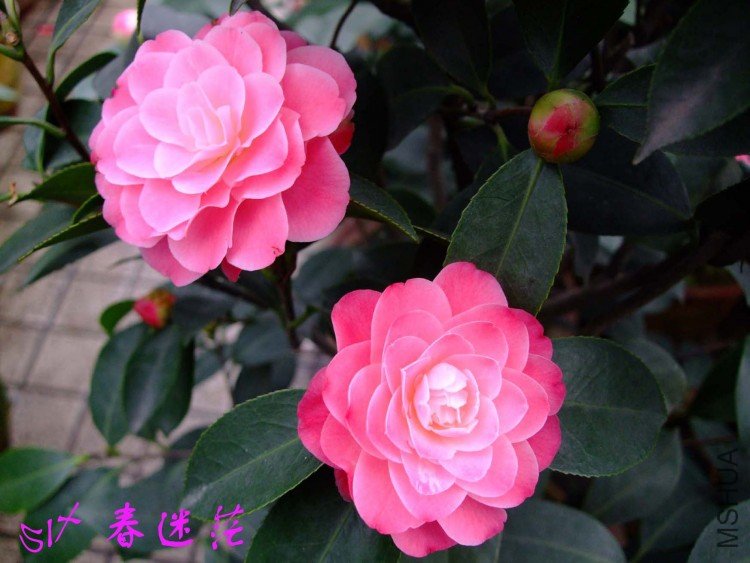 ����ã10-3-30 (10).jpg