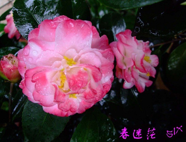 ����ã10-3-30 (16).jpg