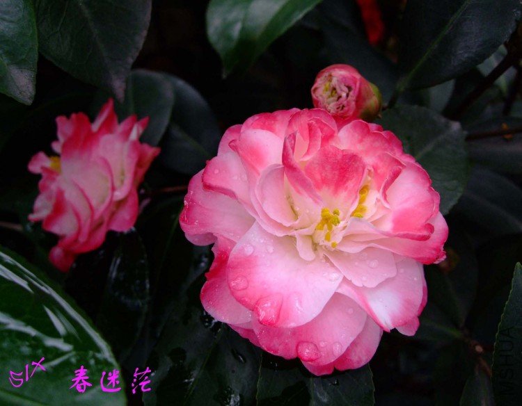 ����ã10-3-30 (13).jpg