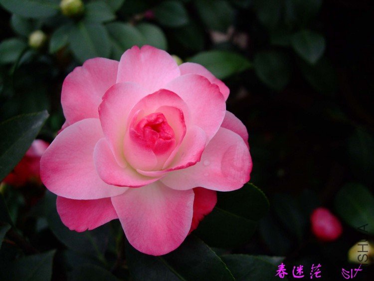 ����ã10-3-30 (11).jpg