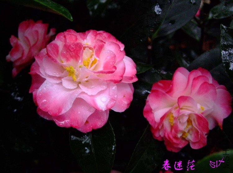 ����ã10-3-30 (15).jpg