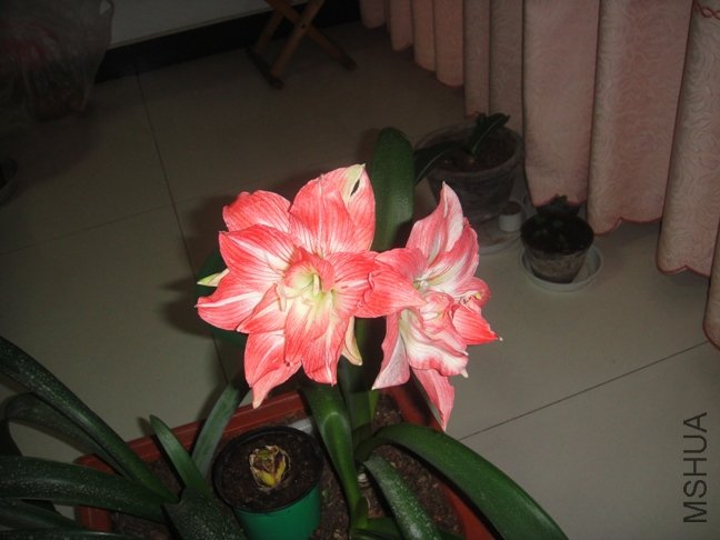 DSC00701.JPG
