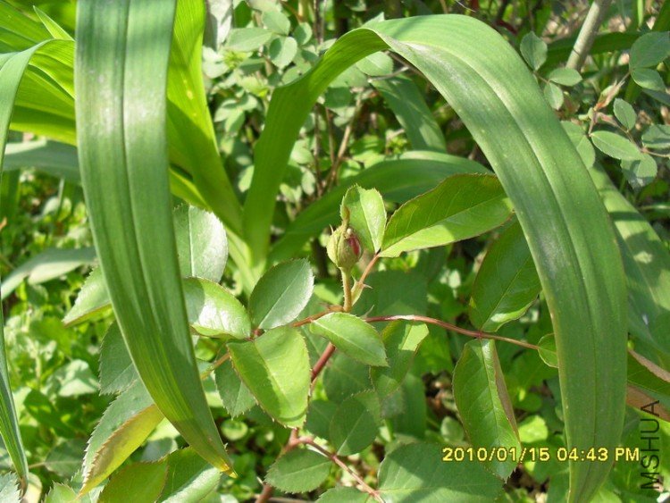 ����������