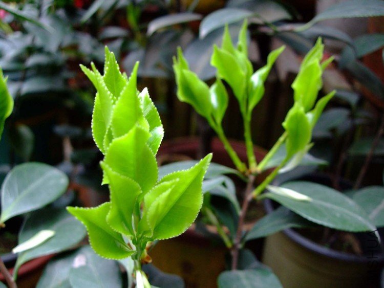 ����  10-3-31 (7).jpg