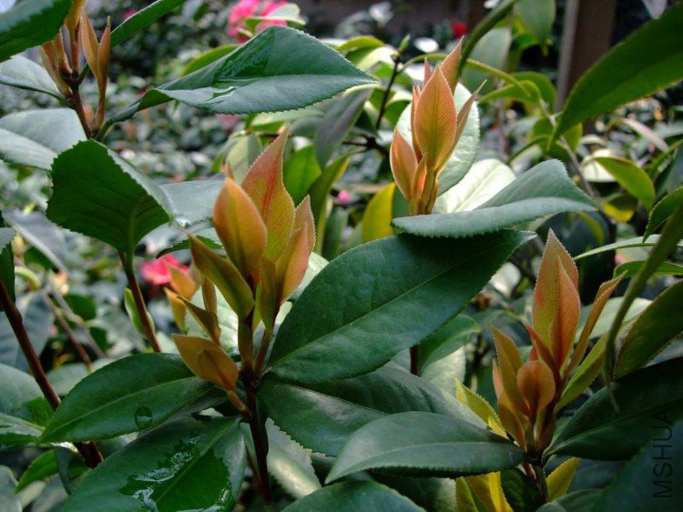 ����  10-3-31 (2).jpg