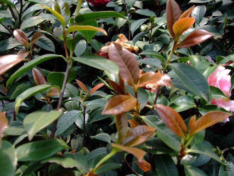 ����  10-3-31 (8).jpg