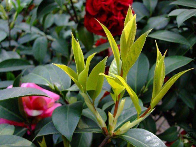 ����  10-3-31 (3).jpg