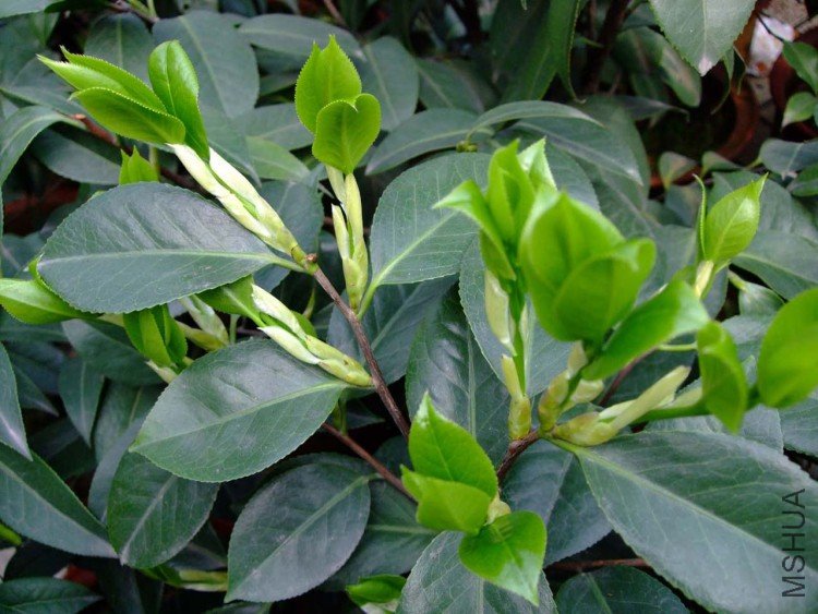 ����  10-3-31 (9).jpg