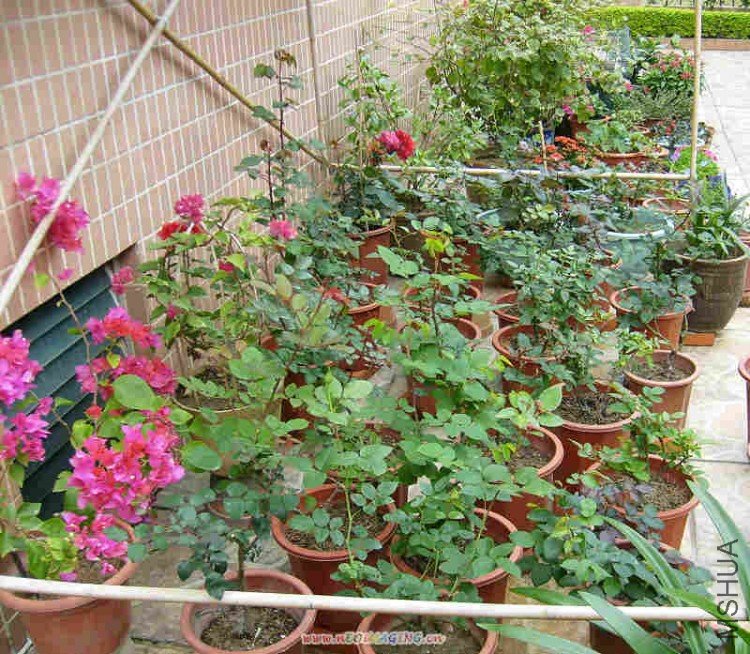 2010 019.jpg