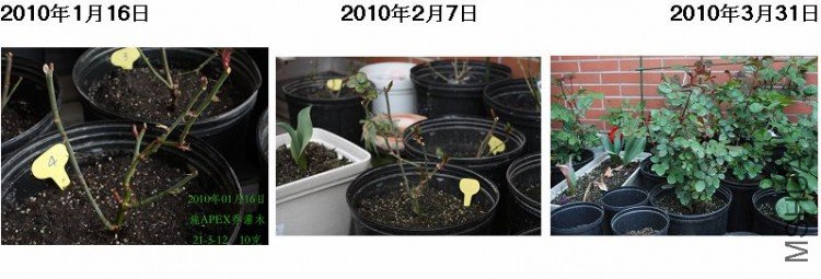 4#.jpg