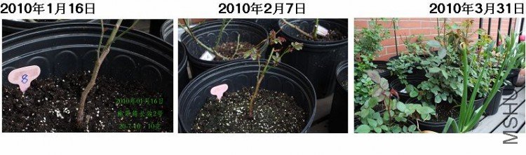 8#.jpg