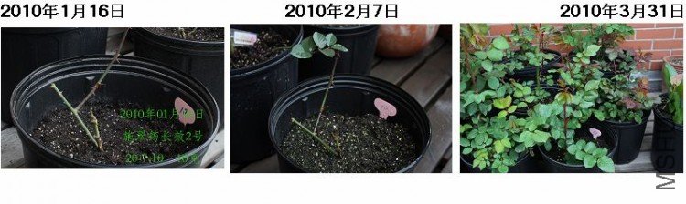 10#.jpg