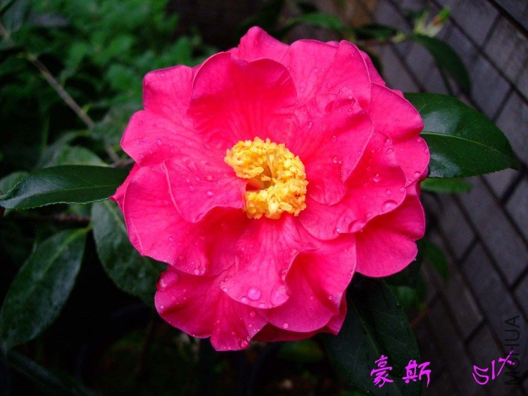 ��˹ 10-4-1 (1).jpg