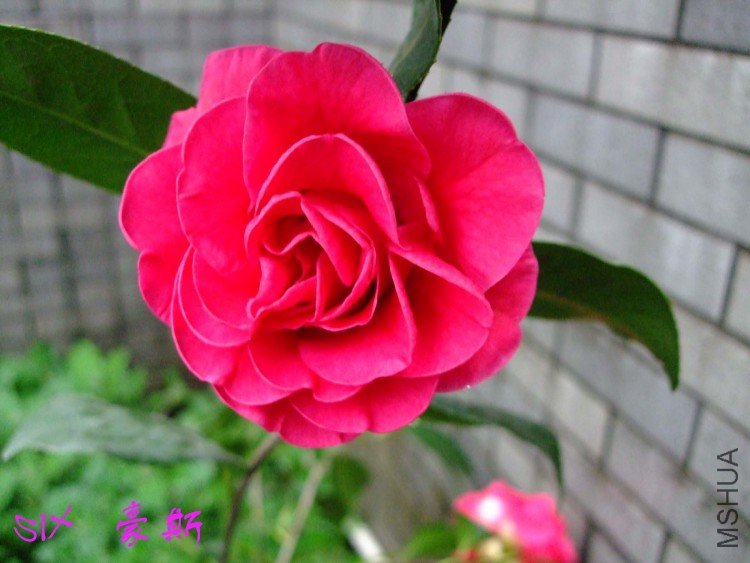 ��˹ 10-4-1 (2).jpg