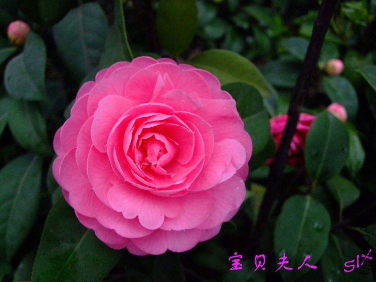 ��������10-4-1 (3).jpg