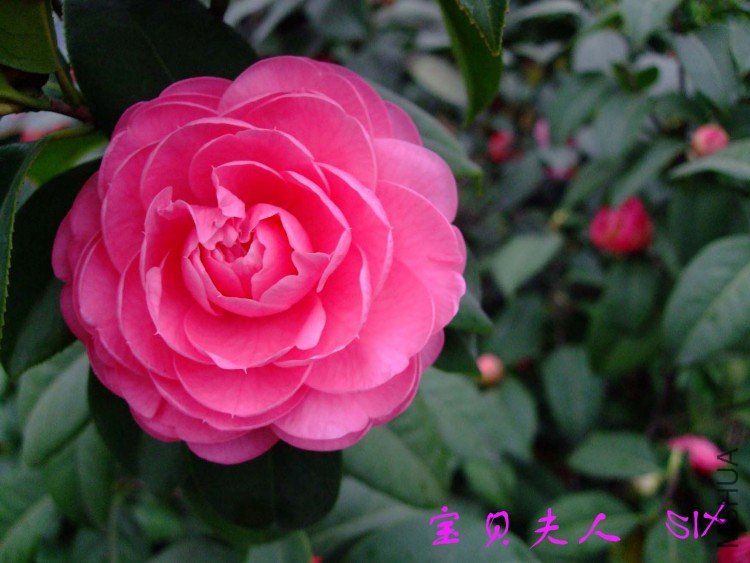 ��������10-4-1 (2).jpg