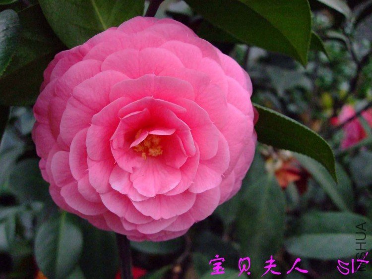 ��������10-4-1 (4).jpg