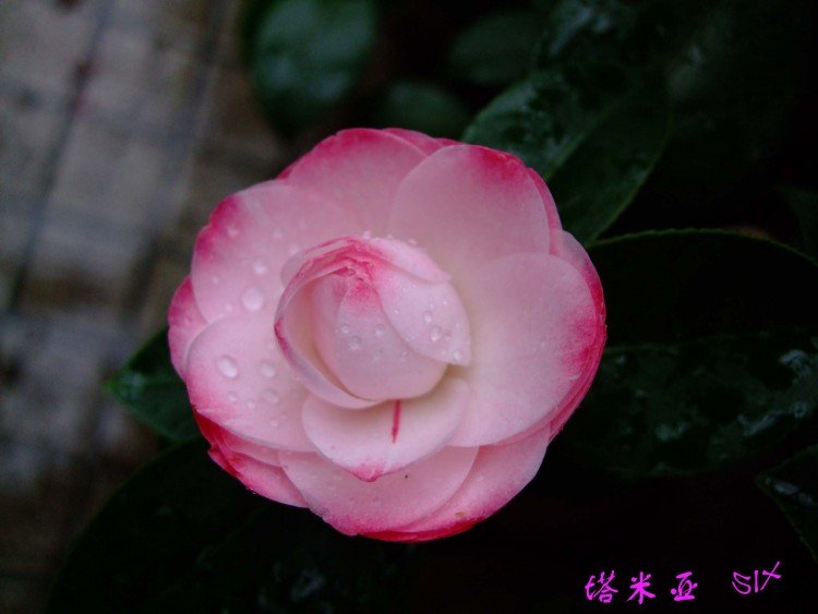 ������10-4-1 (2).jpg