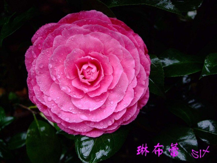 �ղ���10-4-1 (3).jpg