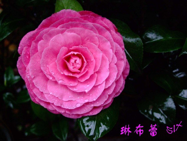 �ղ���10-4-1 (2).jpg