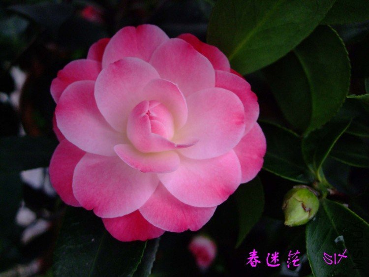 ����ã 10-4-1(1).jpg