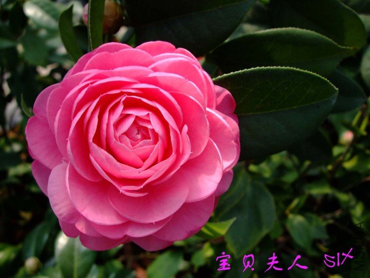 �������� 10-3-31 (2).jpg