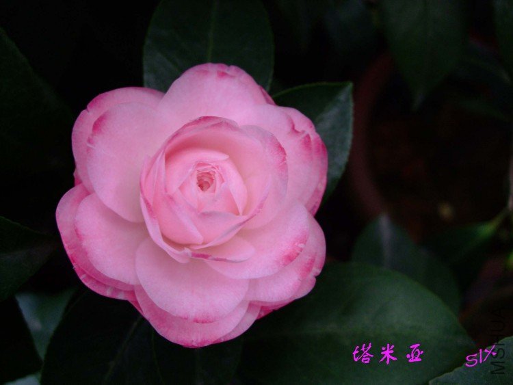 ������ 10-3-31(1).jpg