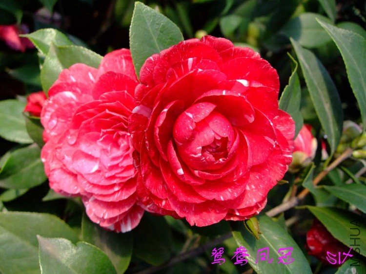 ԧ���� 10-3-31 (3).jpg