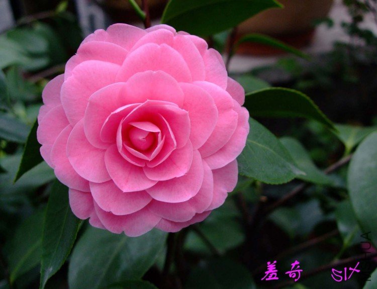 ���� 10-3-31(1).jpg