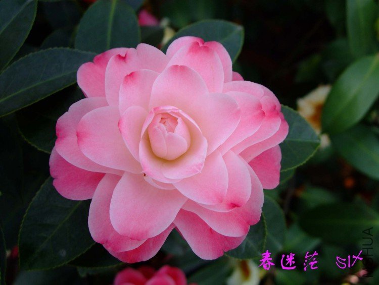 ����ã 10-3-31 (3).jpg