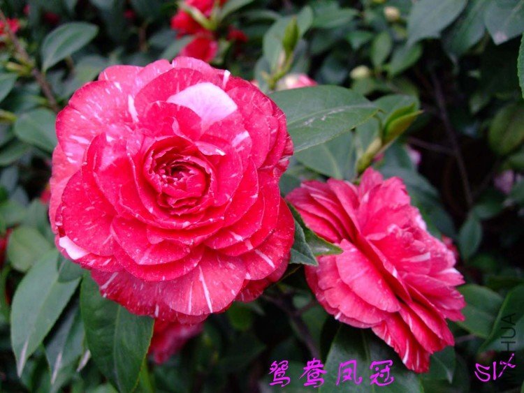 ԧ���� 10-3-31 (1).jpg