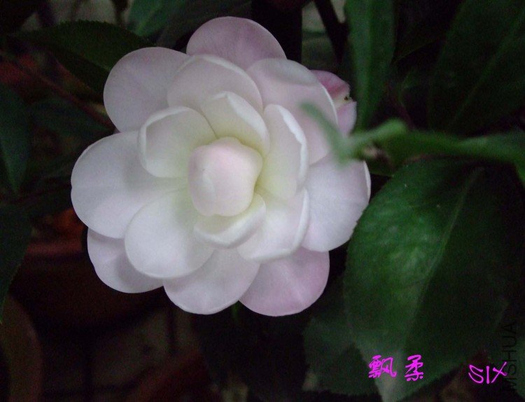 Ʈ�� 10-3-31(1).jpg