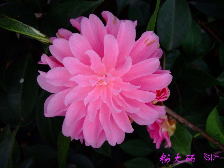 �۴��� 10-3-31(1).jpg