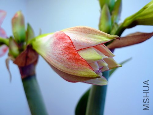 ��Ƭ 2639(500).jpg
