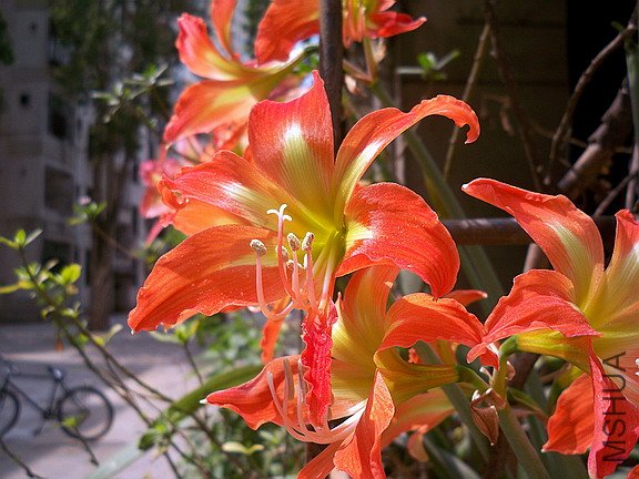 ��Ƭ 059(576).jpg